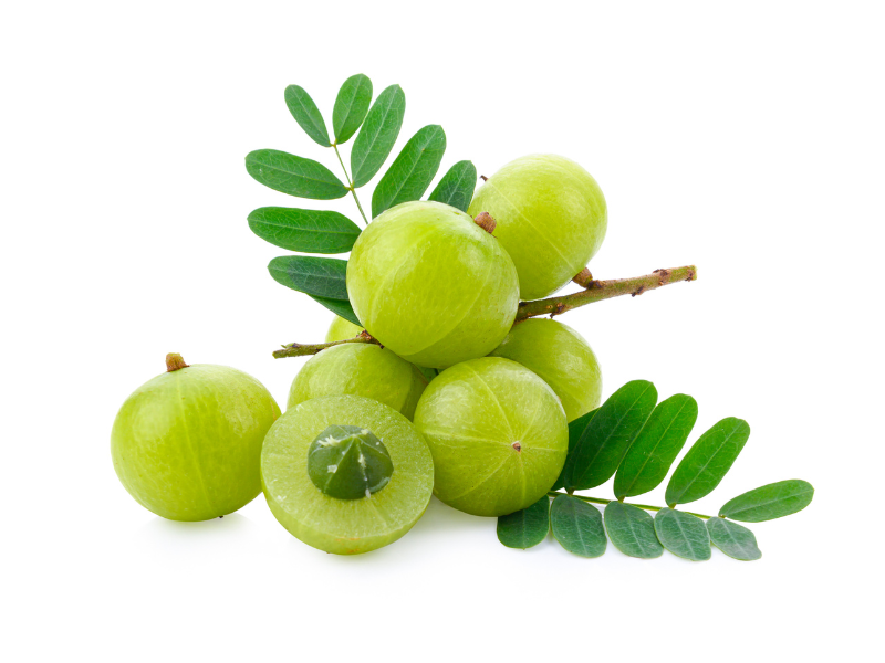 Life Extension Europe: 7 green indian gooseberries or almas on a vine with leaves attached. On white background, Berry in forefront is cut in half. 